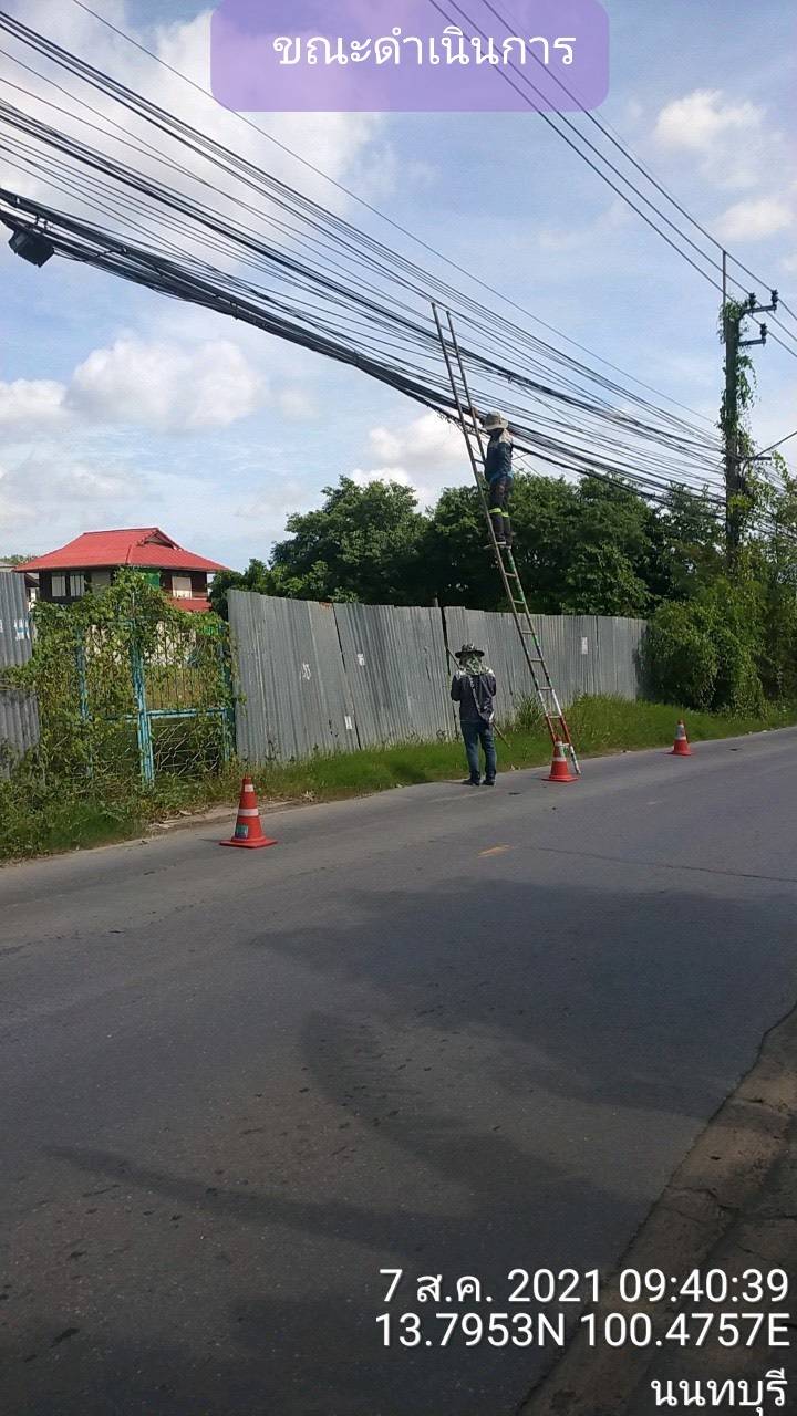 333037.jpg