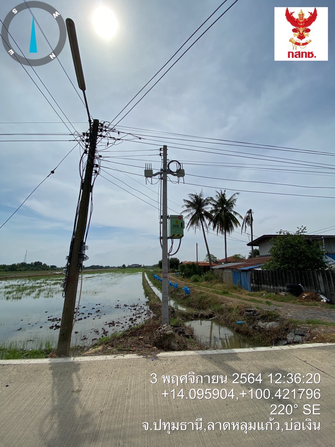 S__41771025.jpg