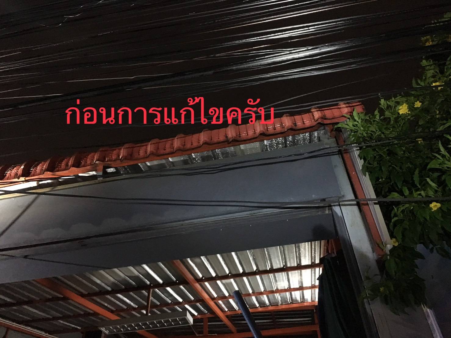 331157.jpg