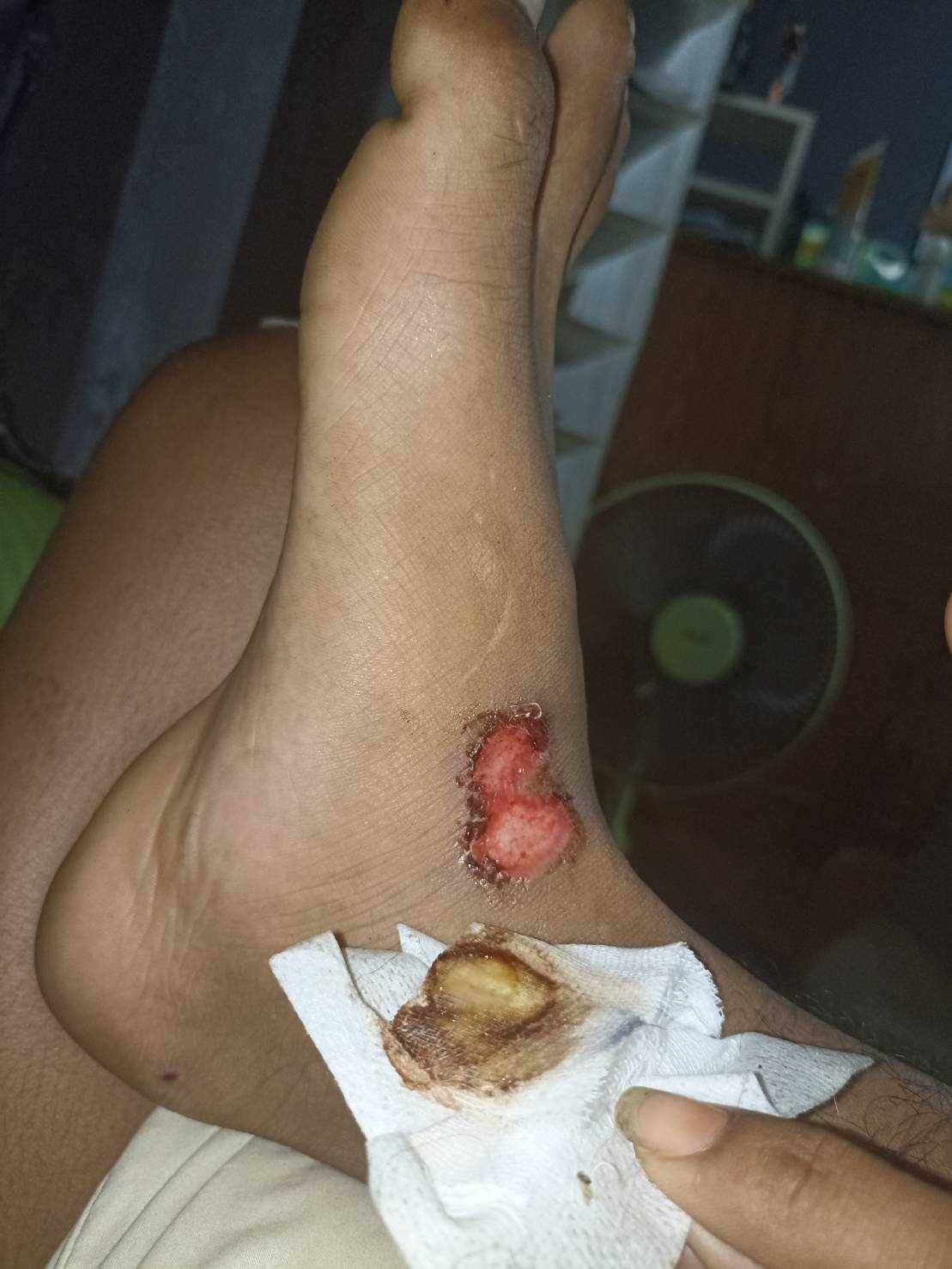 457124.jpg