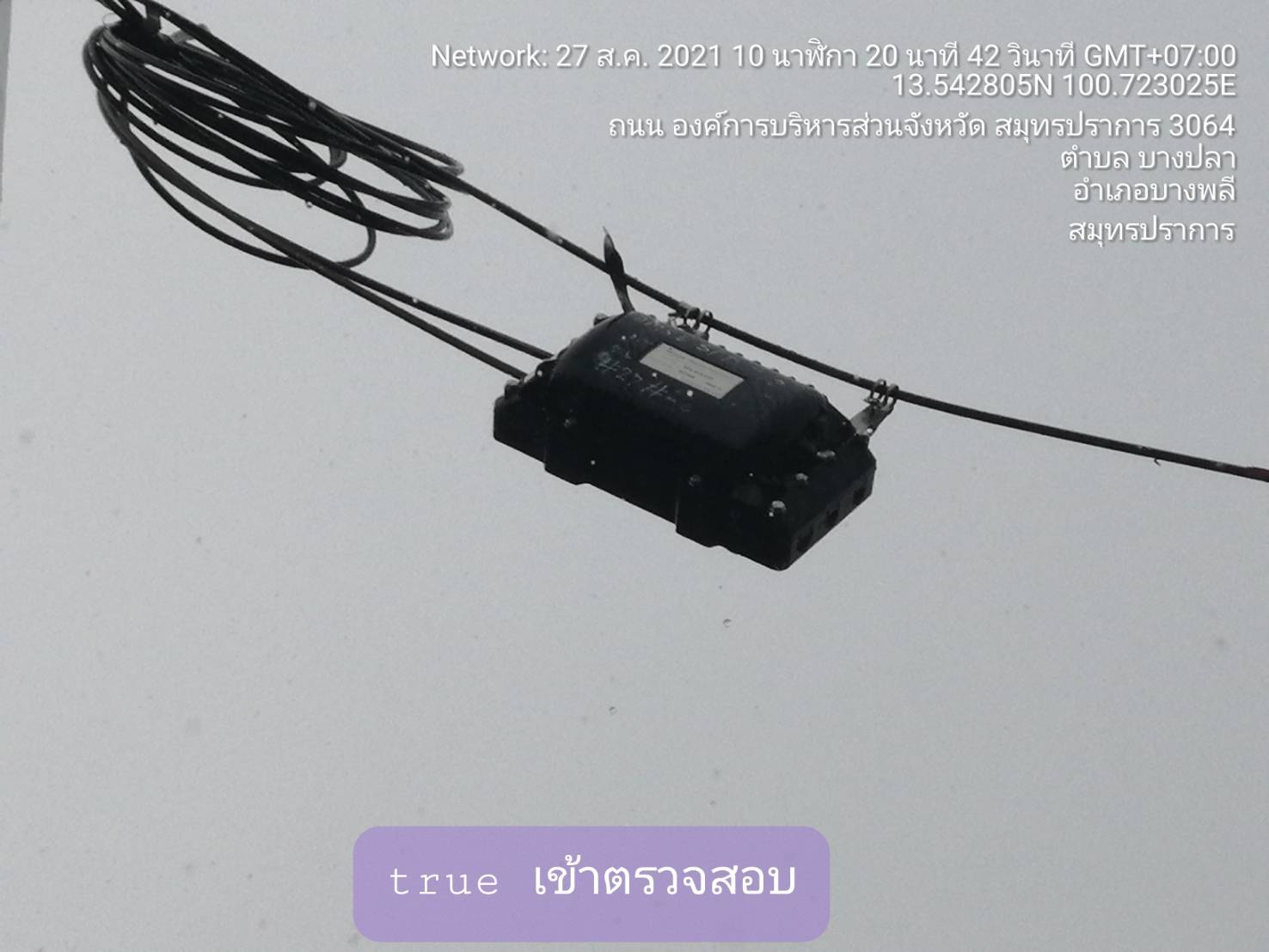 346077.jpg