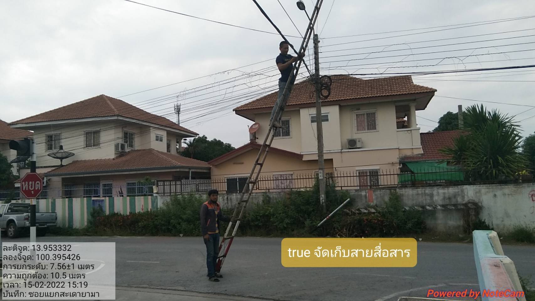 458170.jpg
