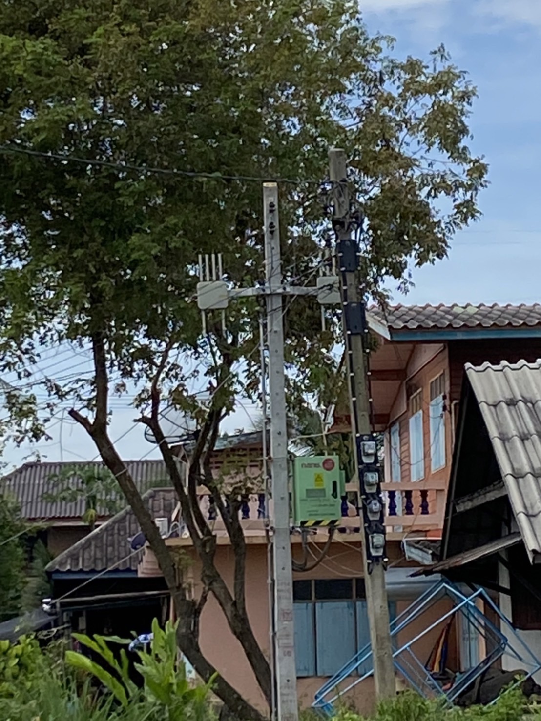 S__47358025.jpg