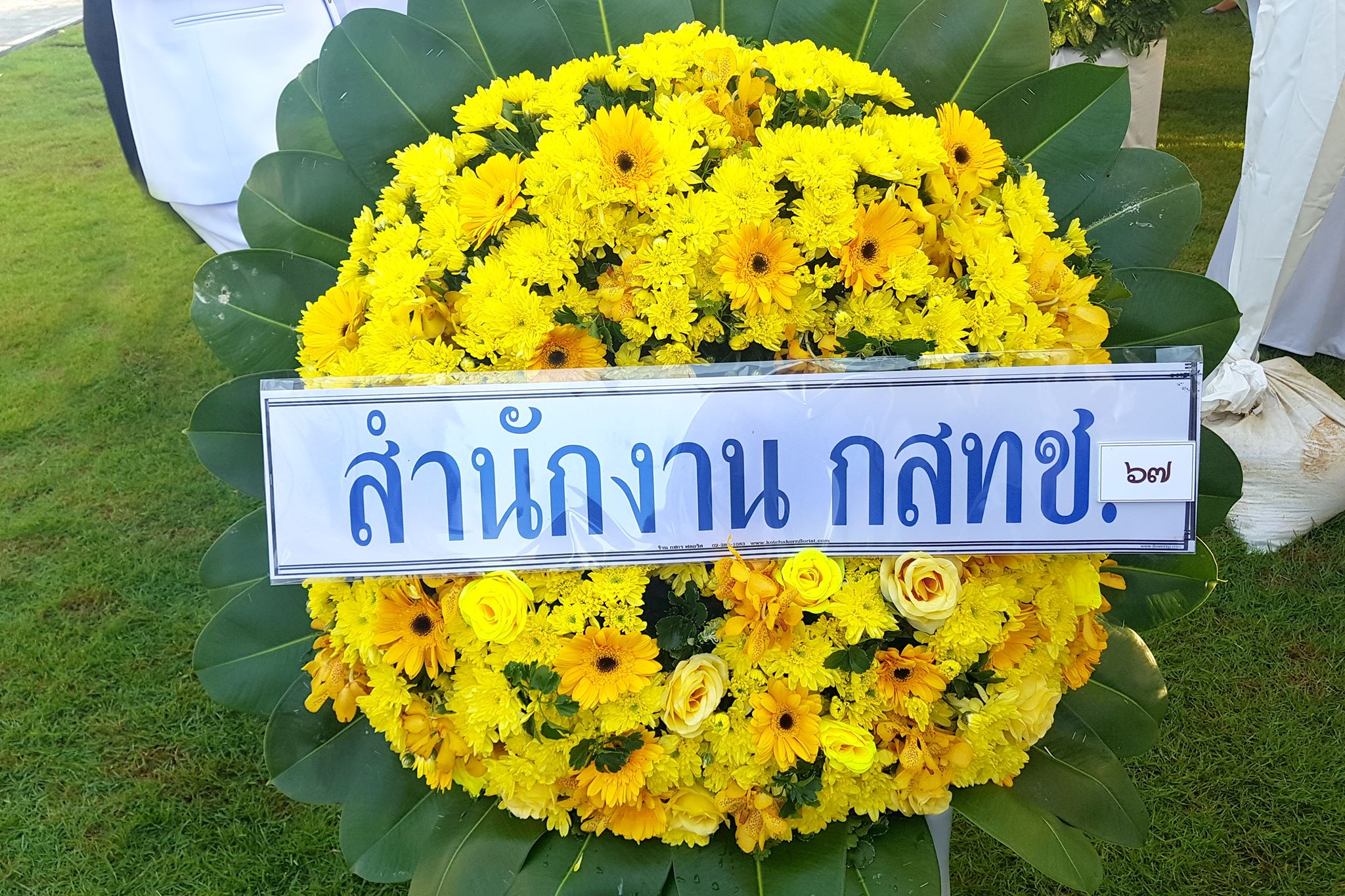 05.jpg